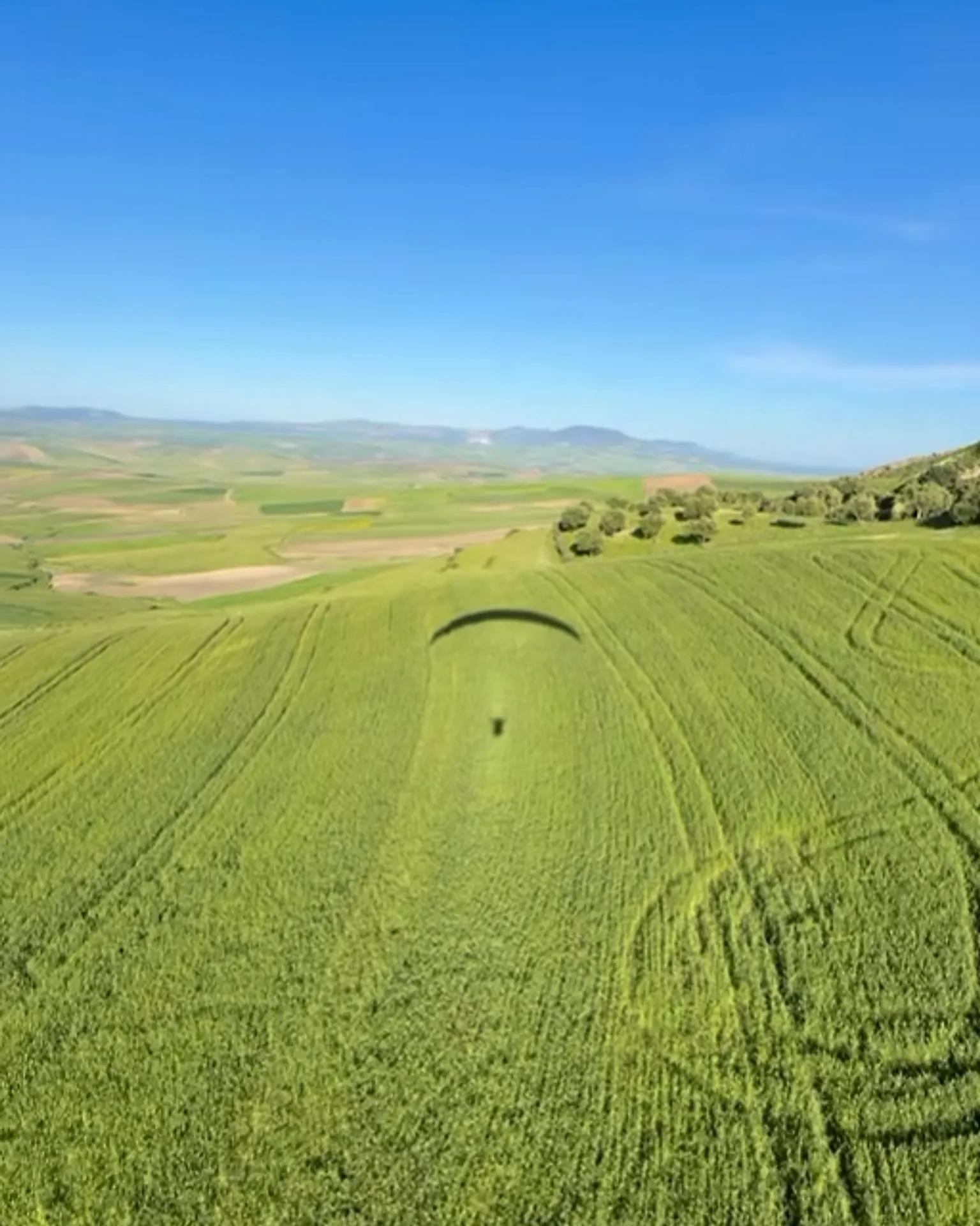 L’ombre du parapente sur les blés verts du Zerhoun, la plaine et les collines jusqu’à l’horizon.